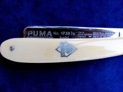 Puma 3.JPG