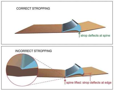 Stropping.jpg