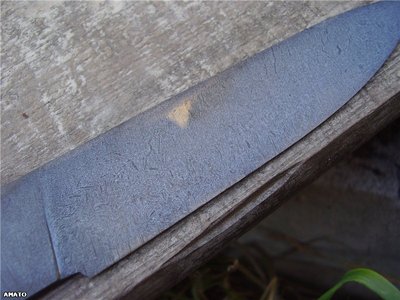 f8086f1e2644.jpg