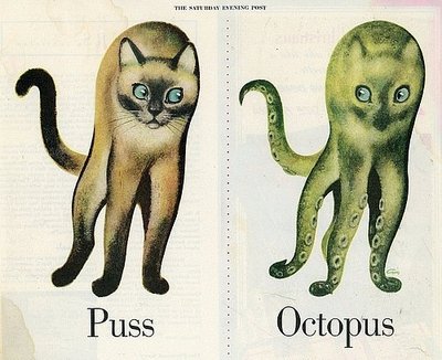 octopus.jpg