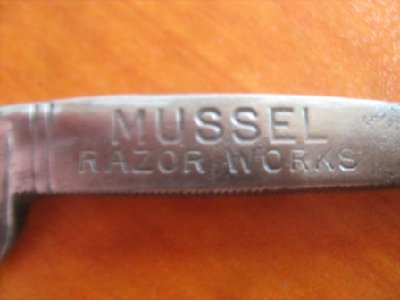 Mussel 117.jpg