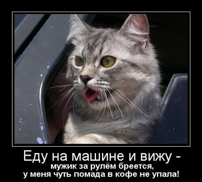 dmtmp_imgdmr_1320557620_2056.jpg