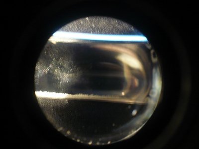 P1150267.JPG