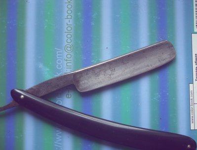 SDC13723.jpg
