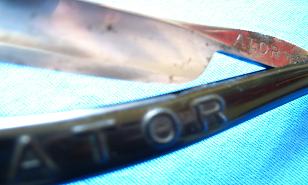 Picture 326-z.JPG