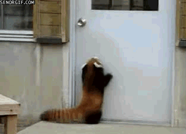 2011_02_03_22_21_588699_1.gif