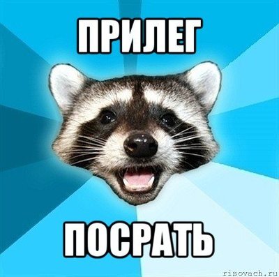 9H_2CvIwz6E.jpg