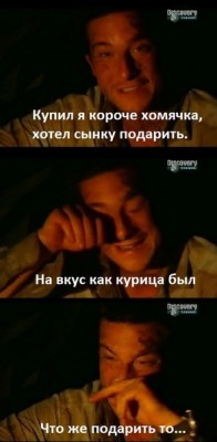 беар8.jpg (29.79 КБ) 54224 просмотра беар8.jpg