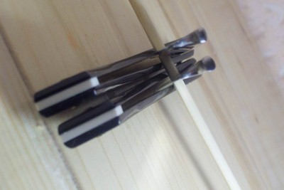 Resize of 101_4107.JPG
