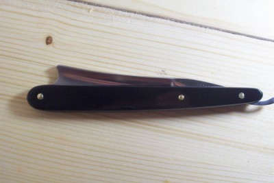 Resize of 101_4169.JPG