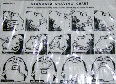 The_Shave_Chart_LG.JPG