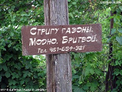 газоны.jpg