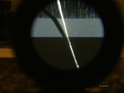 8000_2.JPG (190.9 КБ) 16759 просмотров 8000_2.JPG