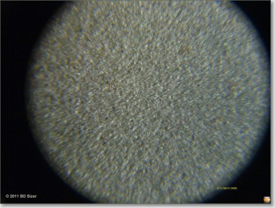 sized_IMAG0796.JPG (248.29 КБ) 14329 просмотров sized_IMAG0796.JPG