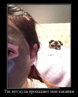 1387942971_1-1.jpg (45.47 КБ) 14103 просмотра 1387942971_1-1.jpg