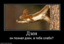 i.jpg