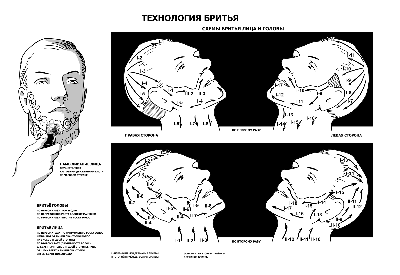 Технология-бритья_full.gif