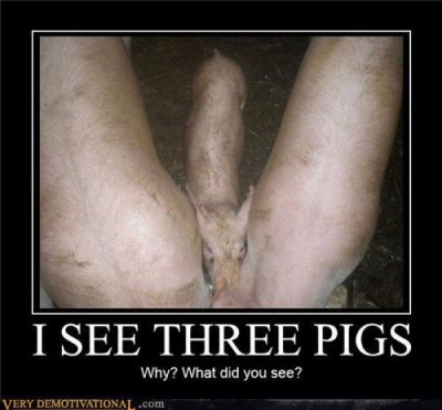 52f0.jpg (41.89 КБ) 16239 просмотров 52f0.jpg