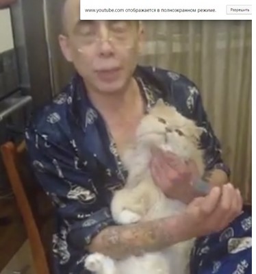 катишка....jpg (100.98 КБ) 11386 просмотров катишка....jpg