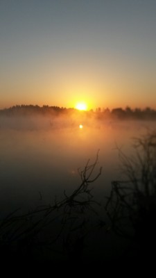 image-3f7550e166dde5c8699b34a4e218dee327362382a8af938ef81dbae3c45476d5-V.jpg