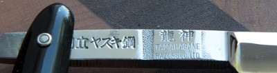 12588361.jpg