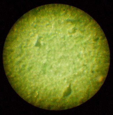 DSCN0323.JPG