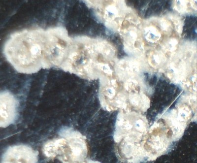 надпись300крат.jpg (138.79 КБ) 18640 просмотров надпись300крат.jpg