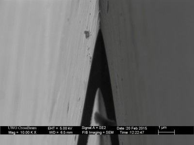 stropped_microconvex_01.jpg