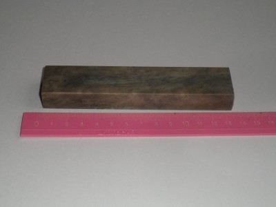 3175.JPG