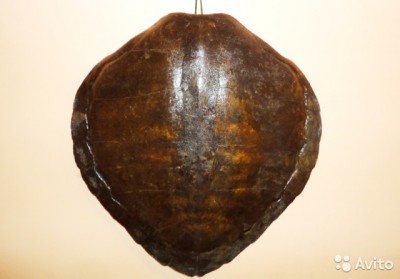 1270987427.jpg (51.55 КБ) 11367 просмотров 1270987427.jpg