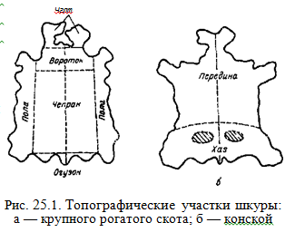 clip_image001.png