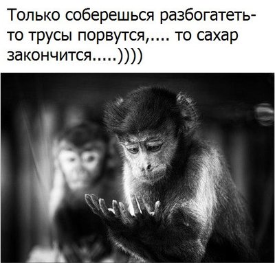 Суровая правда жизни.jpg (62.44 КБ) 17363 просмотра Суровая правда жизни.jpg