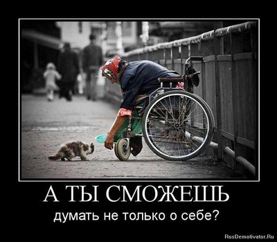 а ты сможешь.jpeg (75.15 КБ) 16908 просмотров а ты сможешь.jpeg