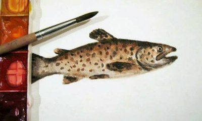 66027_428585403862015_589386894_n_1.jpg (27.19 КБ) 13937 просмотров 66027_428585403862015_589386894_n_1.jpg