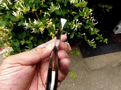 s-l1600 (3).jpg (275.06 КБ) 9807 просмотров s-l1600 (3).jpg