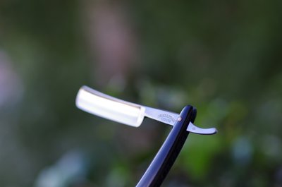 11.JPG